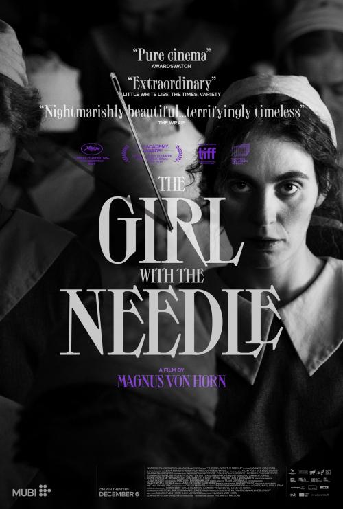 Poster for The Girl With the Needle