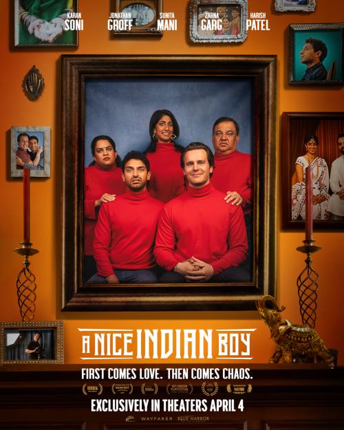 Poster for A Nice Indian Boy