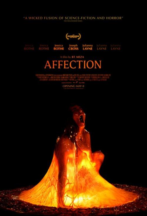 Poster for Affection (Dark Bridges 2026)